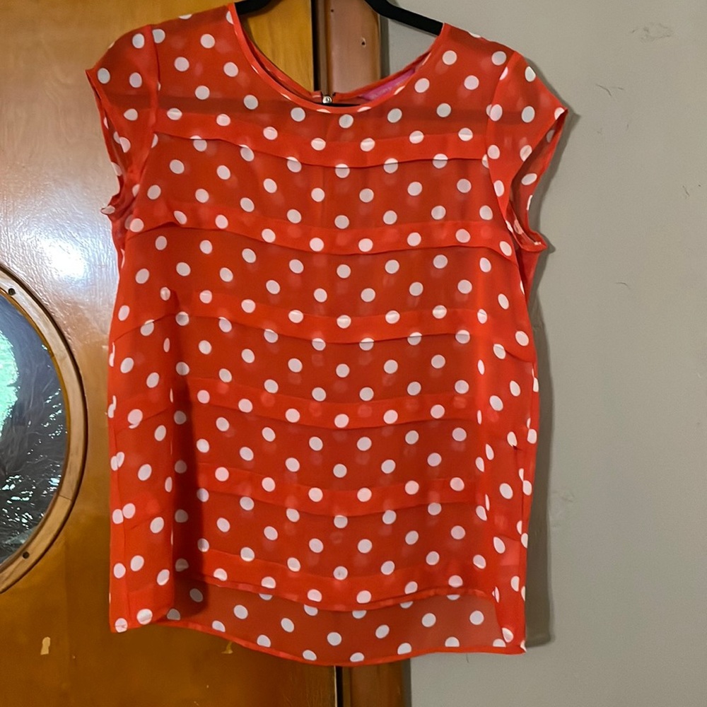 Cute sheer blouse with great detailing